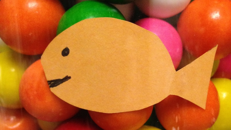 Sasha the Fish