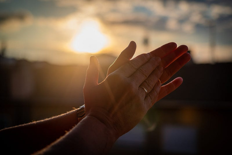 Clap Your Hands, A Magnificent Discovery